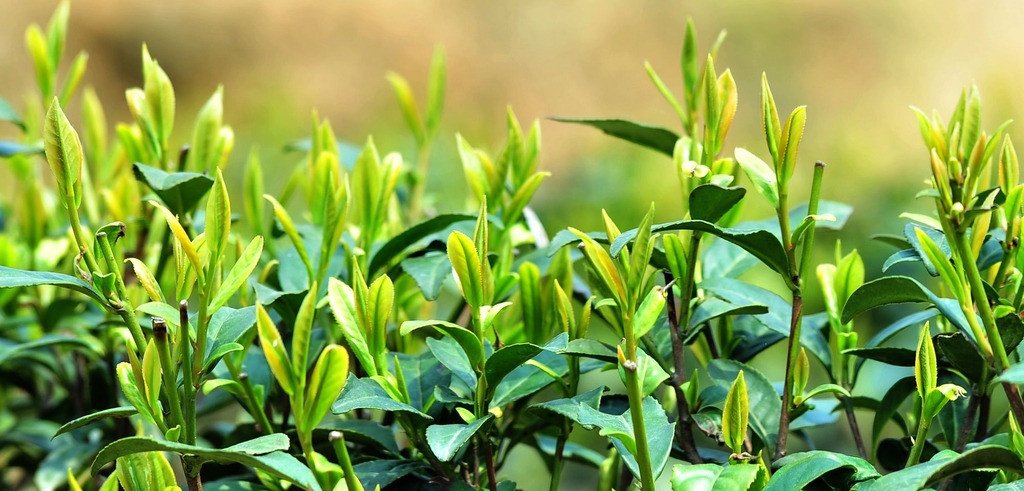 信阳师范玩加手机版下载新人权益 ● 